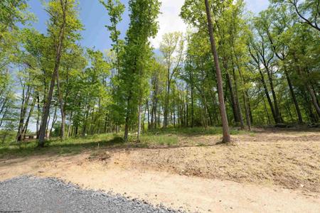Lot 12 Raspberry Ridge