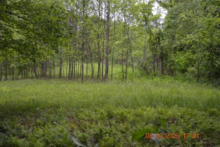 805 Fiddlers Glen