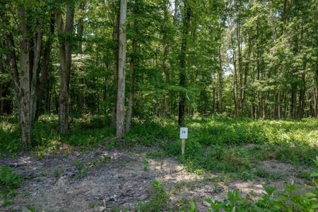 Lot 20 Bowers
