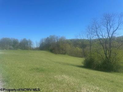 Lots 2 & 3 High Meadow