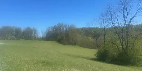 Lots 2 & 3 High Meadow