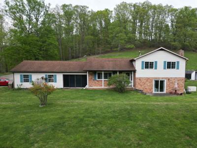 10401 Skin Creek