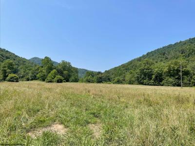 245 Whiteoak