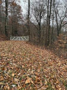 TBD Cassville Mt. Morris
