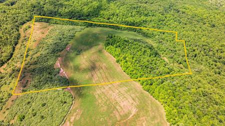 Lot 2 Gladesville