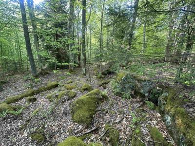 Lot 4 Tuscan Ridge