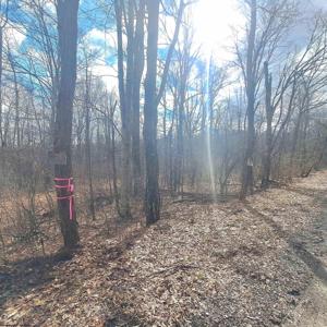 TBD Glade Run