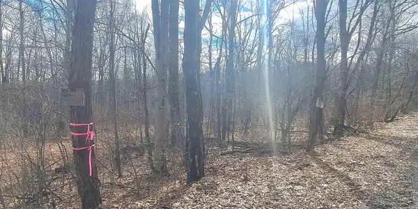 TBD Glade Run