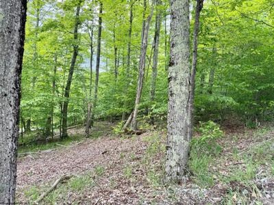 56 Winterset