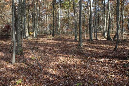 Lot 6 Cascade
