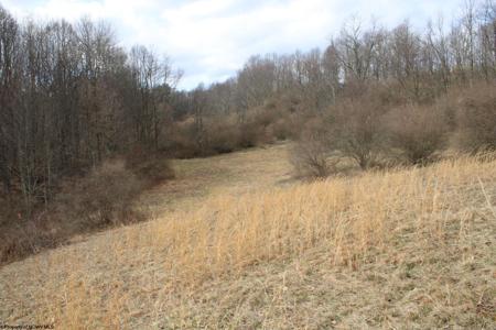 Lot 8 Cascade