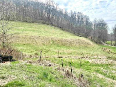 496 Dillon Hollow