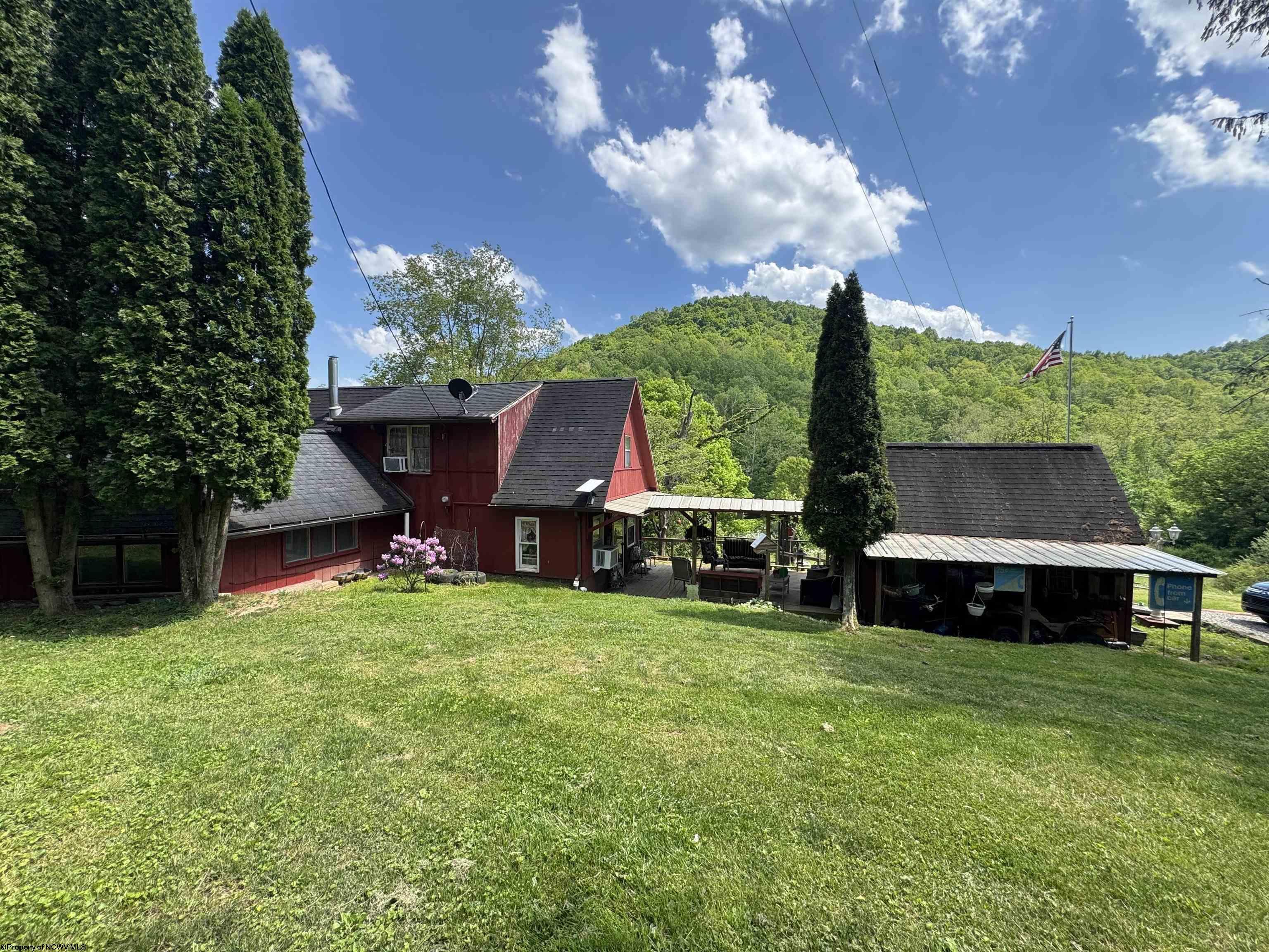 Image 4