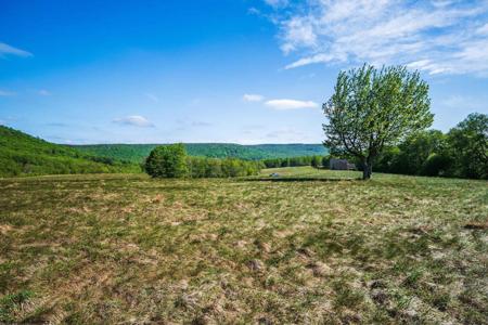 Lot 7 High Meadow