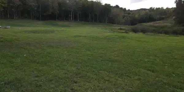 Lot 2 Island