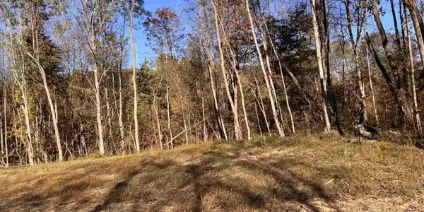 Lot 11 Island