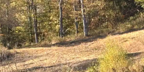 Lot 12 Island