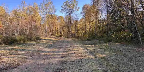 Lot 14 Island