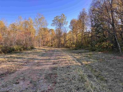 Lot 15 Island