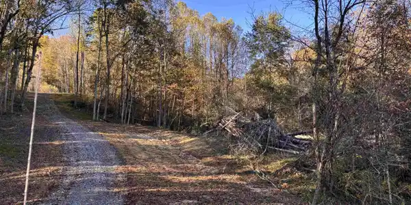 Lot 16 Island