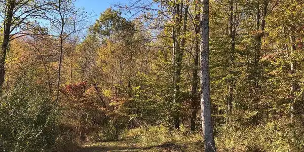 Lot 19 Island