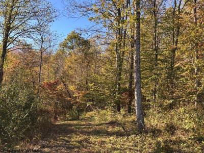 LOT 22 Island