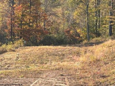 LOT 23 Island