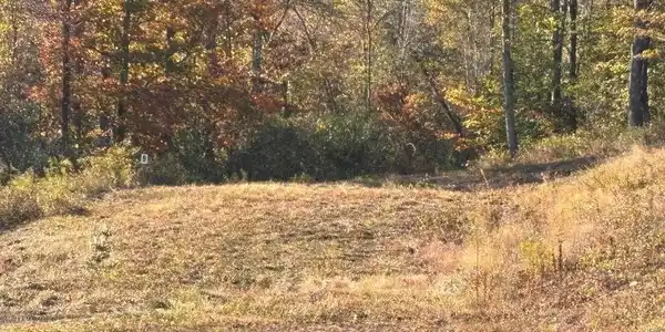 LOT 23 Island
