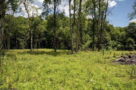 Lot 12 Lake Island