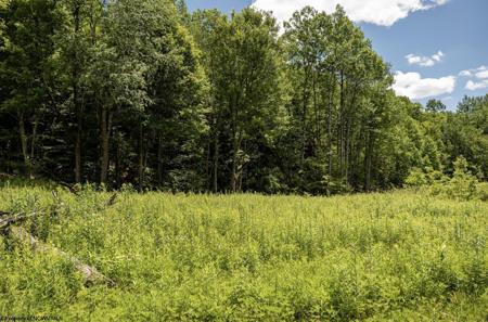 Lot 13 Lake Island
