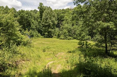 Lot 16 Lake Island