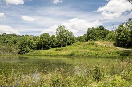 Lot 22 Lake Island