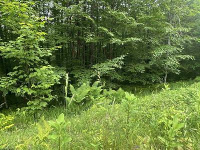 Lot 171 Frostline Court