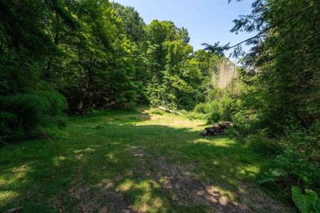 109 Dug Hill