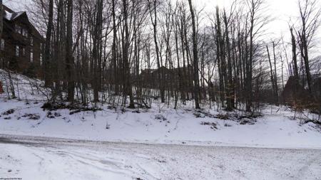 45 Winterset