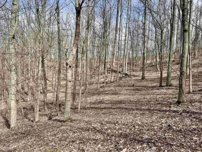 1251 County Highway 40-11