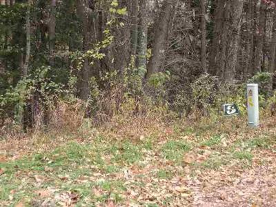 Lot 3 Elm Crest