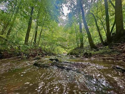 Tract 1 S Teter Creek