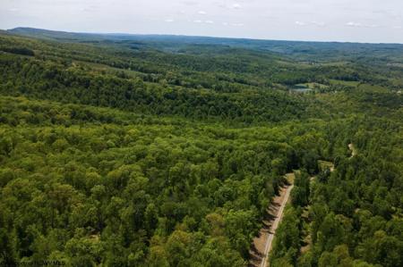 Lot 1 Laurel Mountain