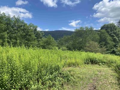 Lot 133 Sunset Mountain Village