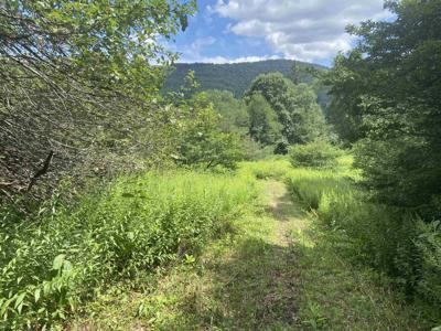 Lot 135 Sunset Mountain Village