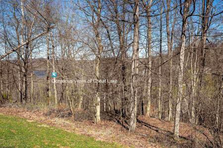 Lot 41 Falling Water