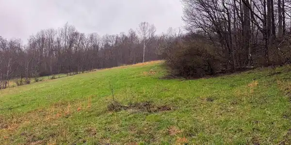 0 Bear Mountain