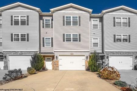 2050 Mountain Ash