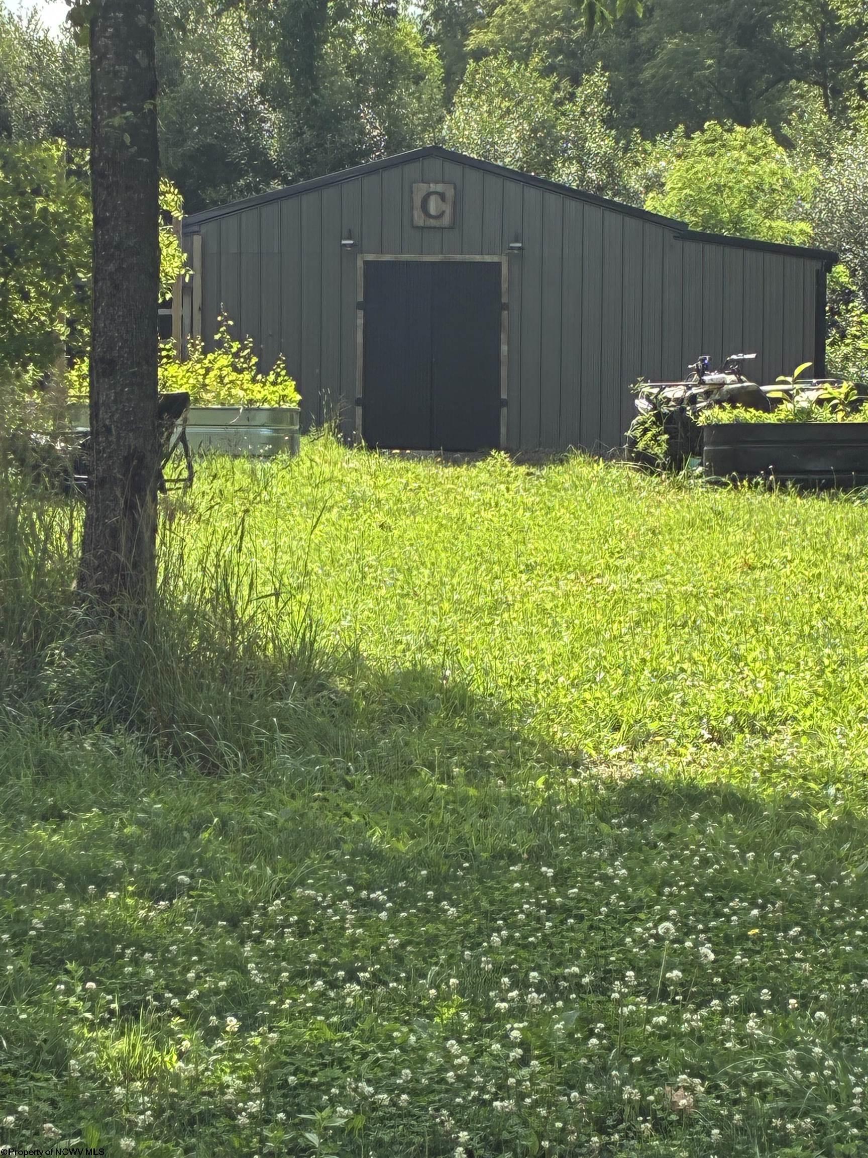 Image 4