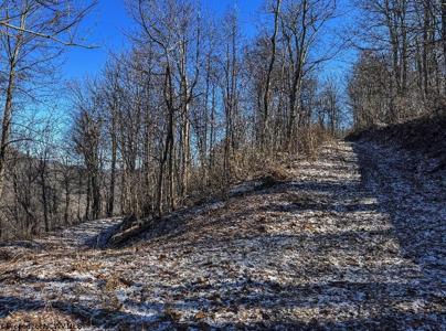 TBD Lantz Ridge Road