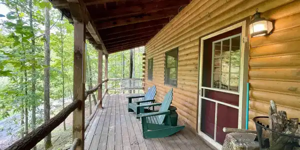 Image 4