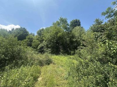 TBD Kanes Creek