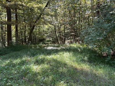 Lot 4 Possum Hollow