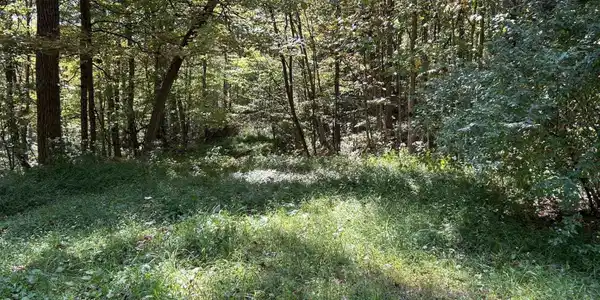Lot 4 Possum Hollow